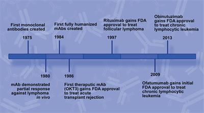 Past, Present, and Future of Rituximab—The World’s First Oncology Monoclonal Antibody Therapy